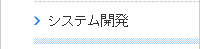 システム開発